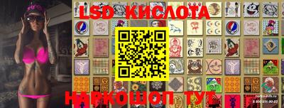 винт Сланцы