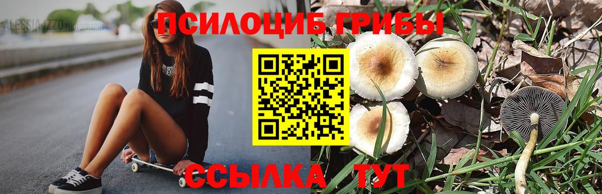 Галлюциногенные грибы GOLDEN TEACHER Партизанск